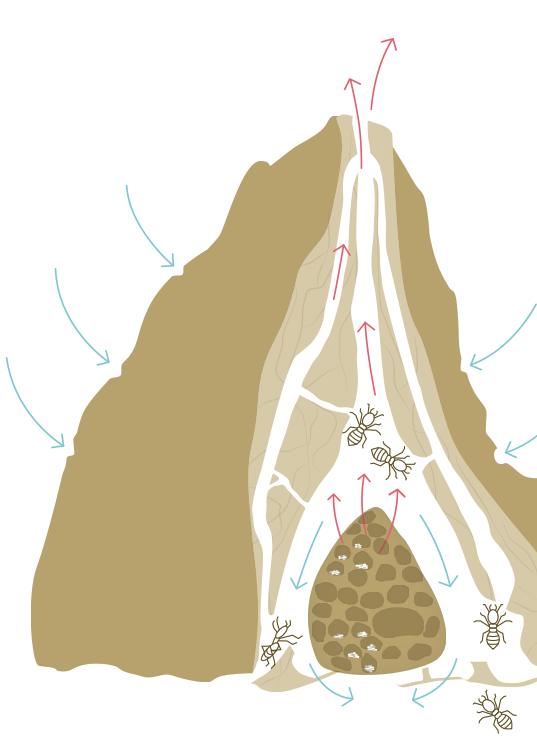 Bildschirmfoto 2022 10 13 um 14.39.47